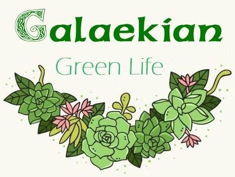 Galaekian Green Life blog shown on a laptop and phone